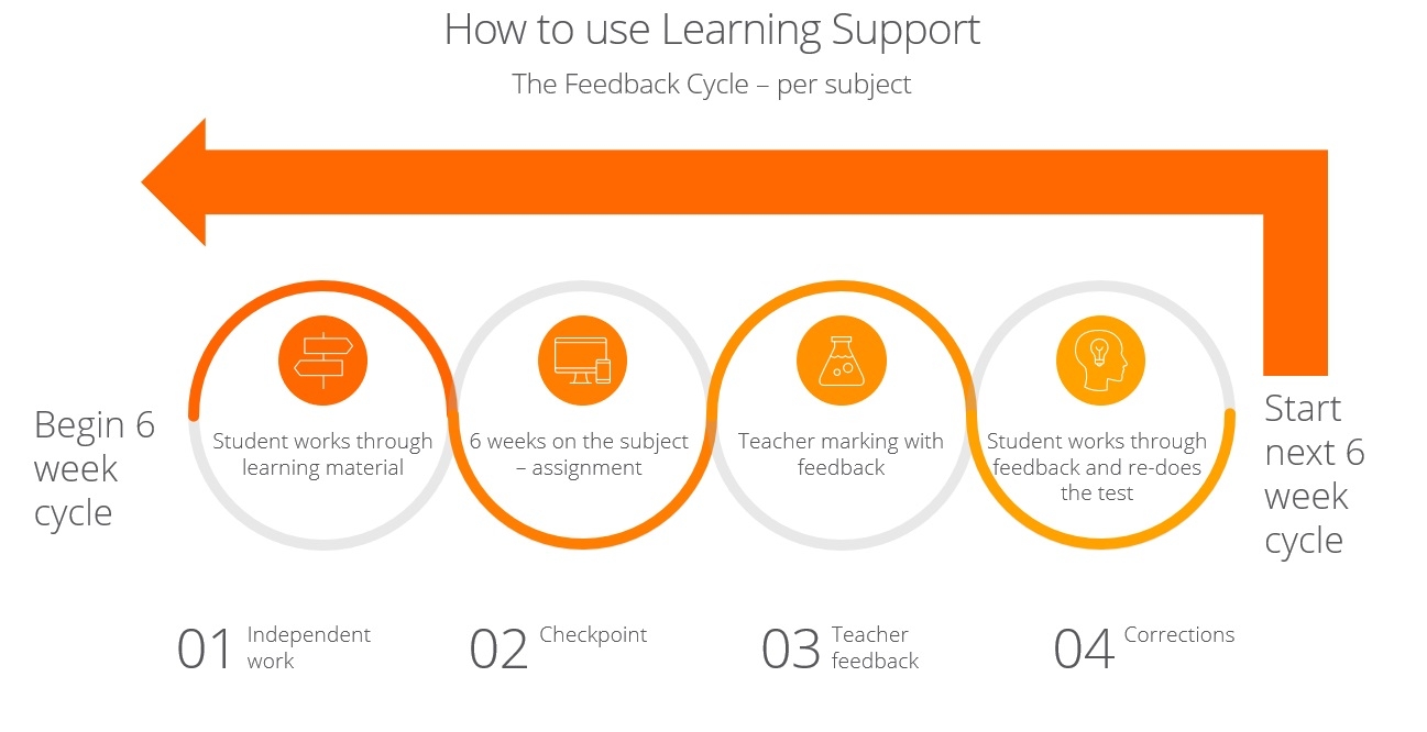 Feedback Cycle